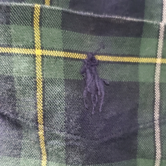 Ralph Lauren, classic fit, men's button up, long sleeve, green, blue, Large - Picture 3 of 3